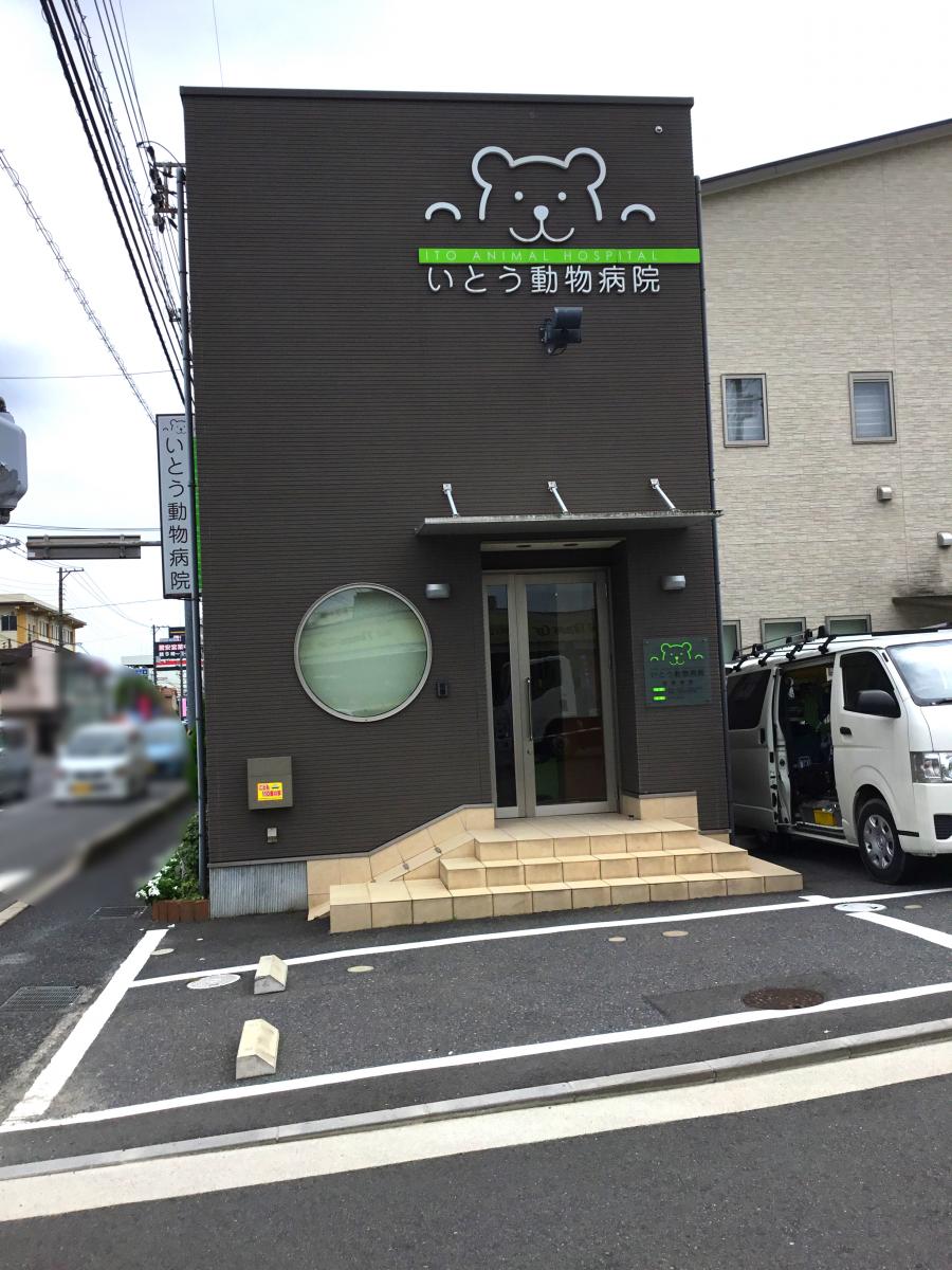 ドッグメディカル いとう動物病院 広島市安佐南区西原