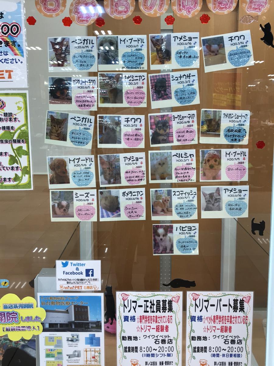 ドッグメディカル ワイワイペットクリニック石巻 石巻市蛇田