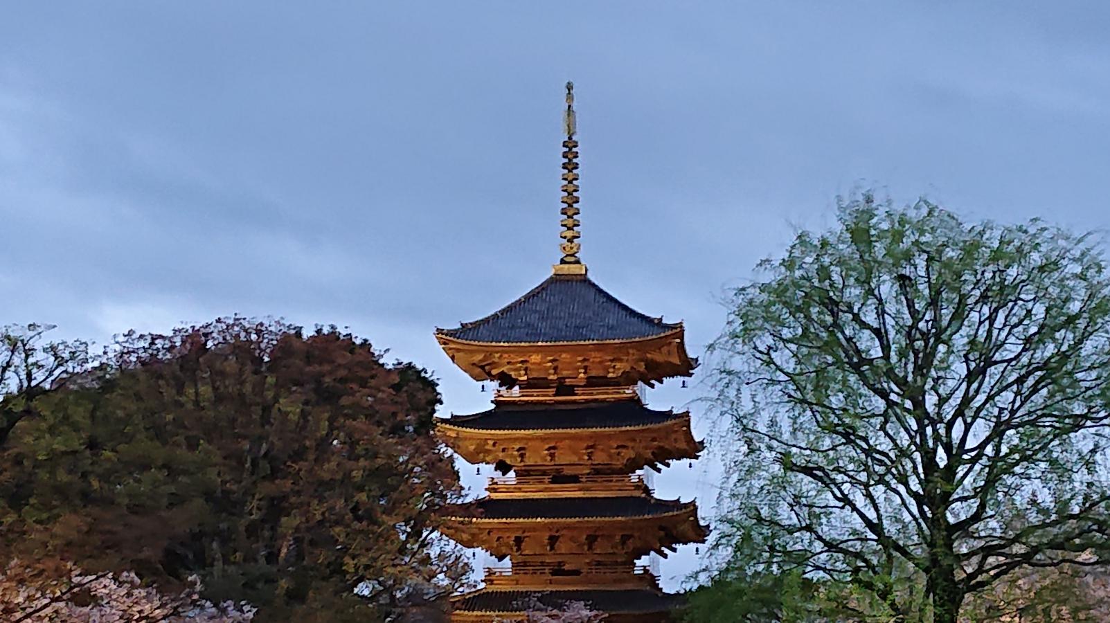旅探 たびたん 口コミ 東寺五重塔