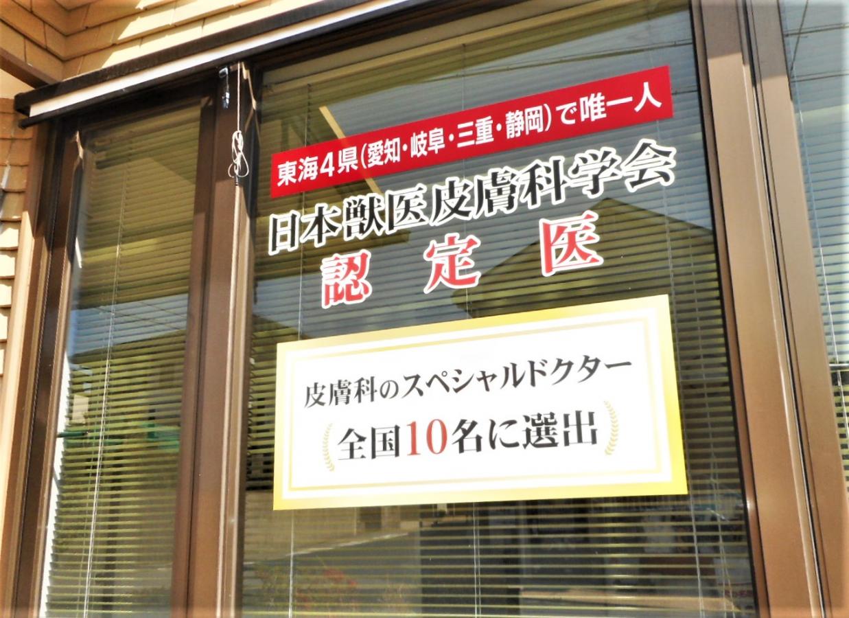 ドッグメディカル 松原動物病院 半田市清城町