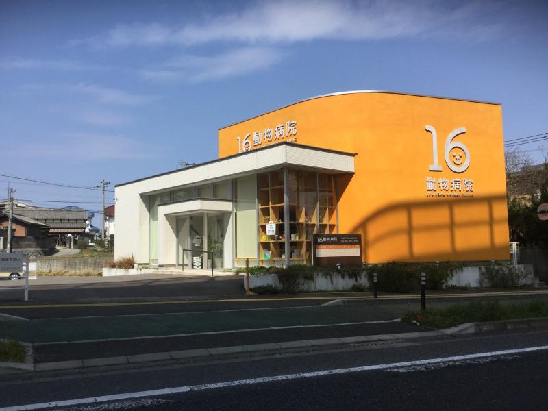 ドッグメディカル 16動物病院 福岡市西区拾六町