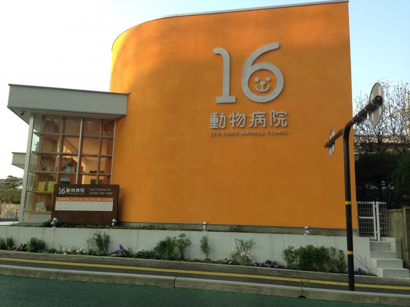 ドッグメディカル 16動物病院 福岡市西区拾六町