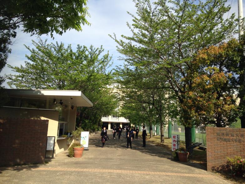 スタディピア 東京農業大学第一高等学校 中等部 世田谷区 周辺施設 口コミ 写真 動画