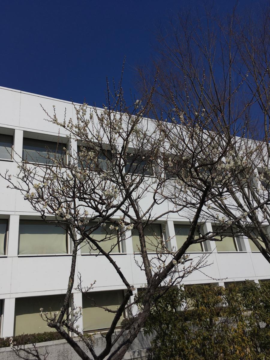 パブリネット 茨城県立図書館