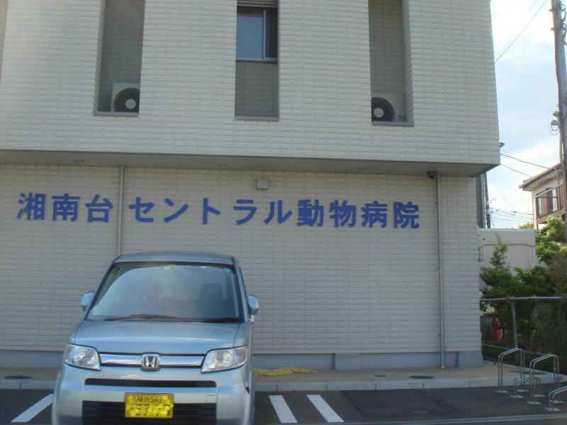 ドッグメディカル 湘南台セントラル動物病院 藤沢市湘南台
