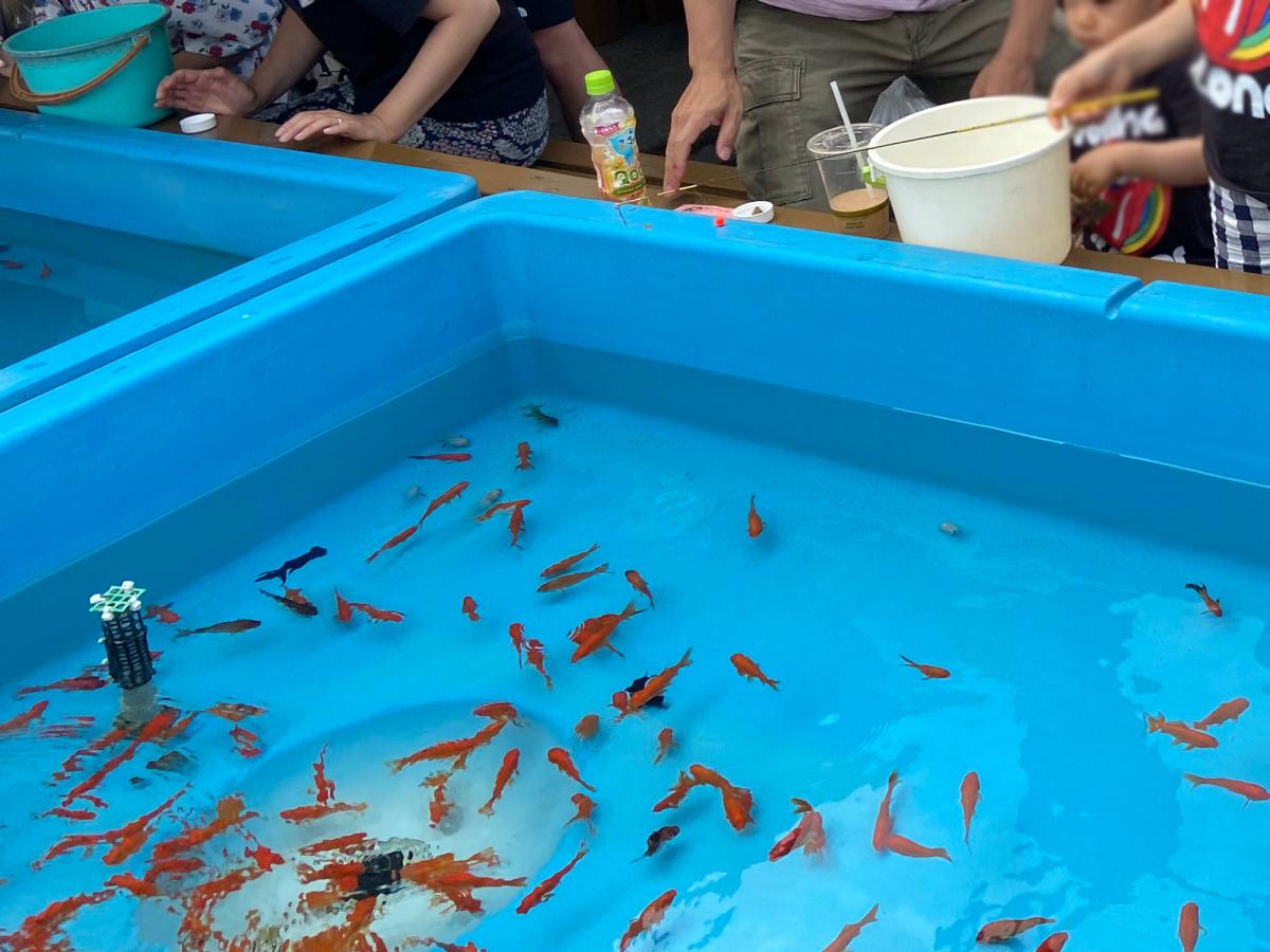 旅探 たびたん 写真 手取フィッシュランド