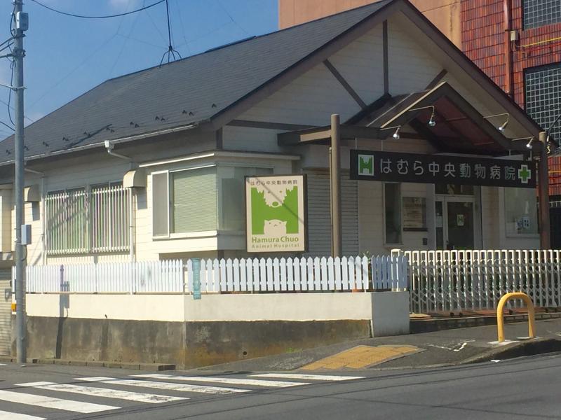 ドッグメディカル はむら中央動物病院 羽村市緑ケ丘