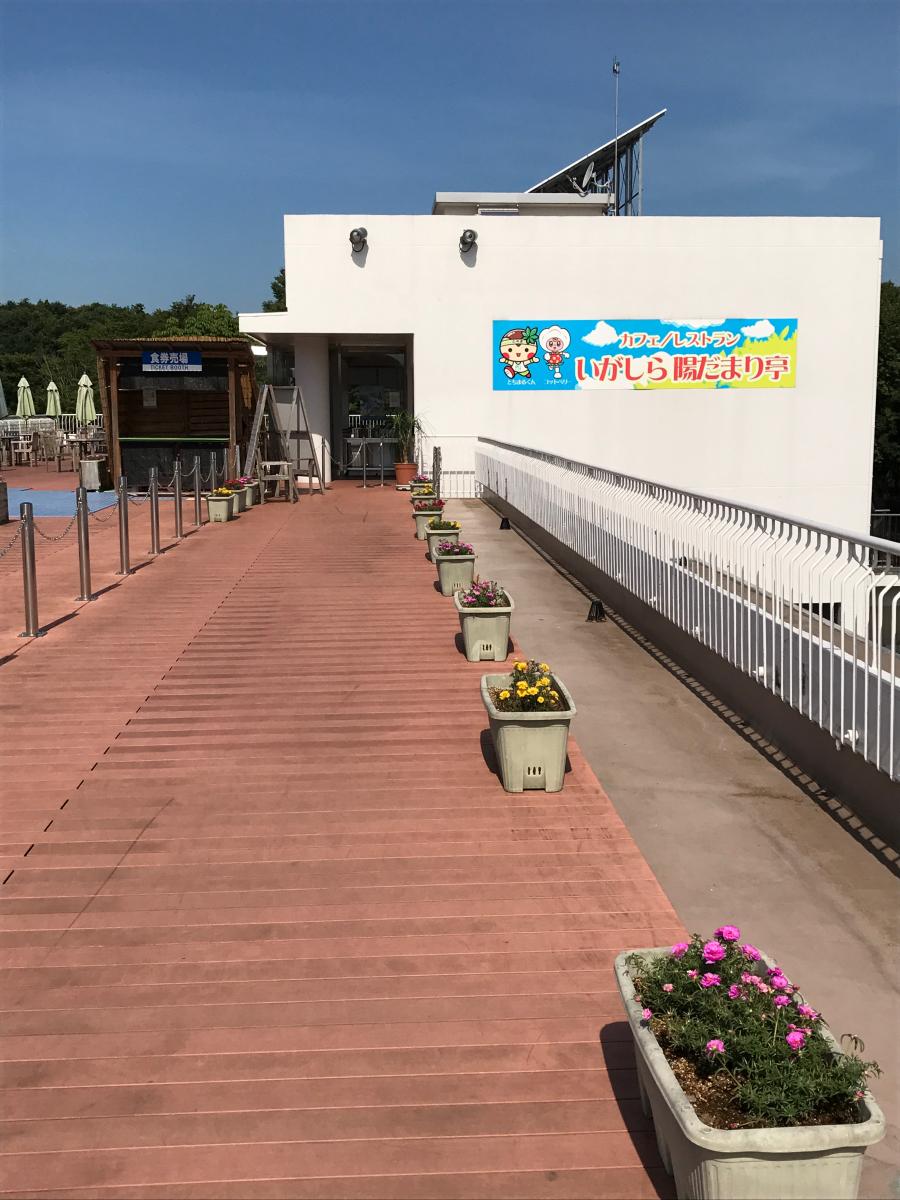 スポランド 井頭公園一万人プール 真岡市下籠谷