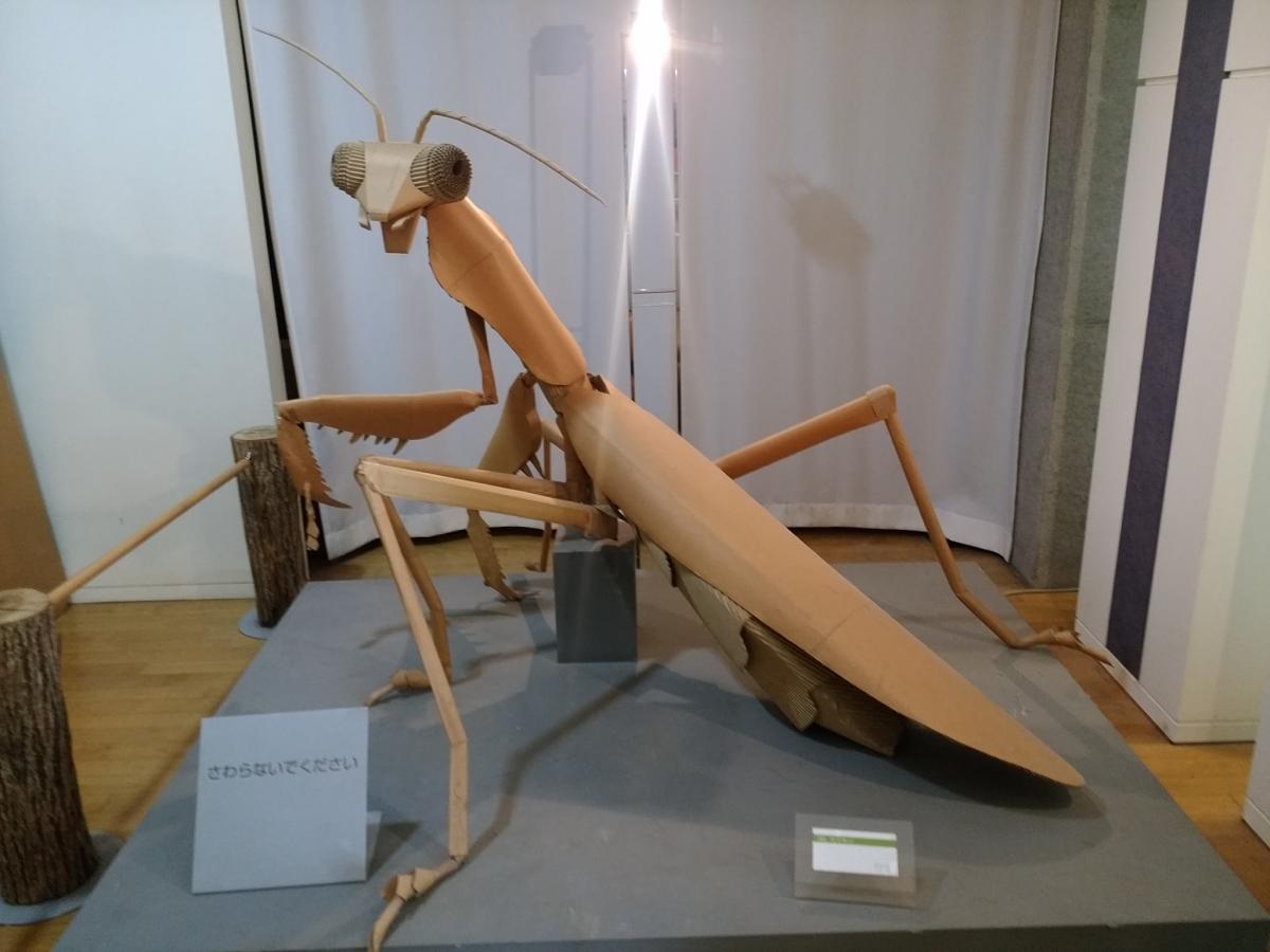 旅探 たびたん 群馬県立ぐんま昆虫の森