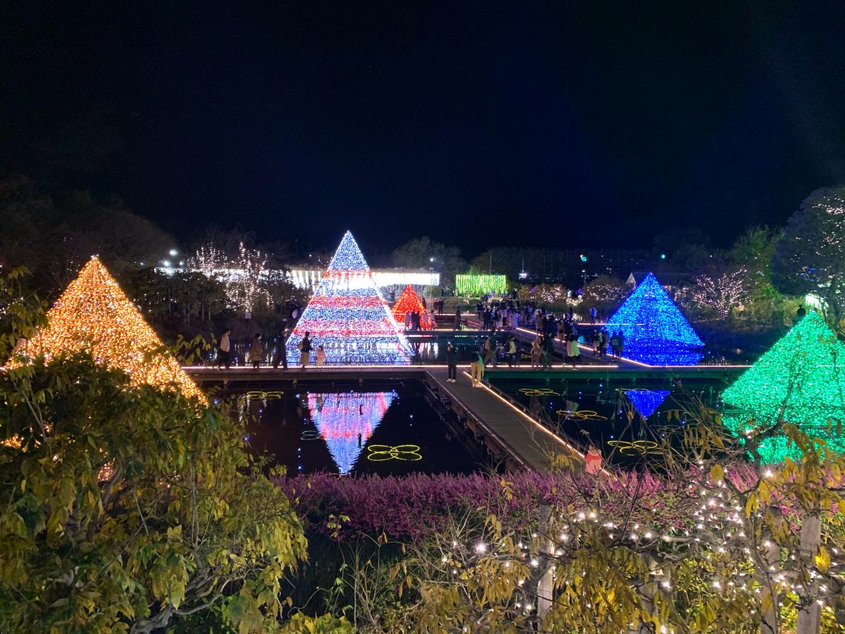 旅探 たびたん あしかがフラワーパーク