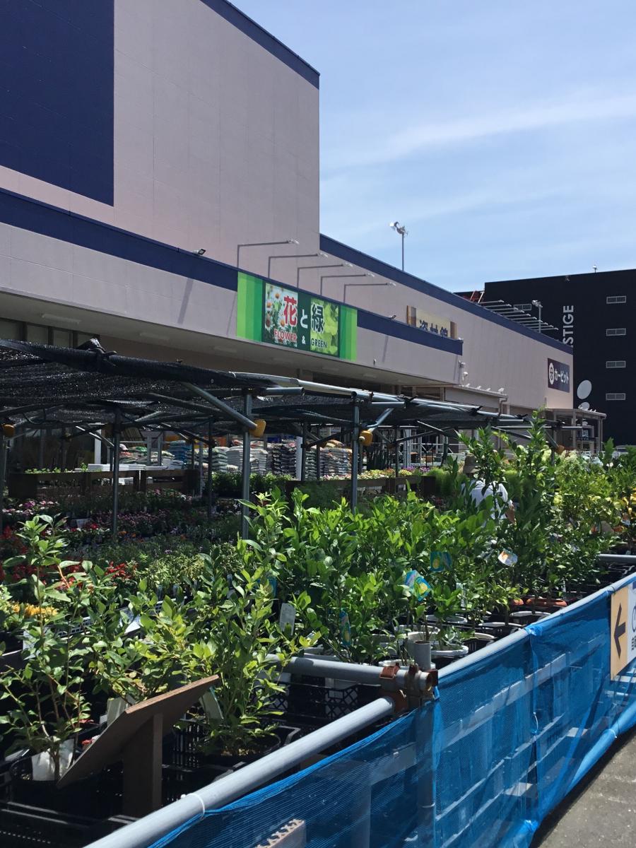 マーケットピア ケーヨーデイツー 久里浜店