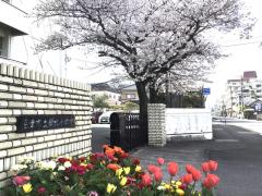 スタディピア 沼津情報 ビジネス専門学校 沼津市西条町