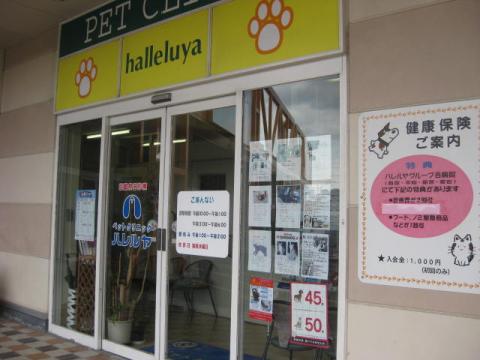 ドッグメディカル ペットクリニックハレルヤ新宮病院 糟屋郡新宮町上府