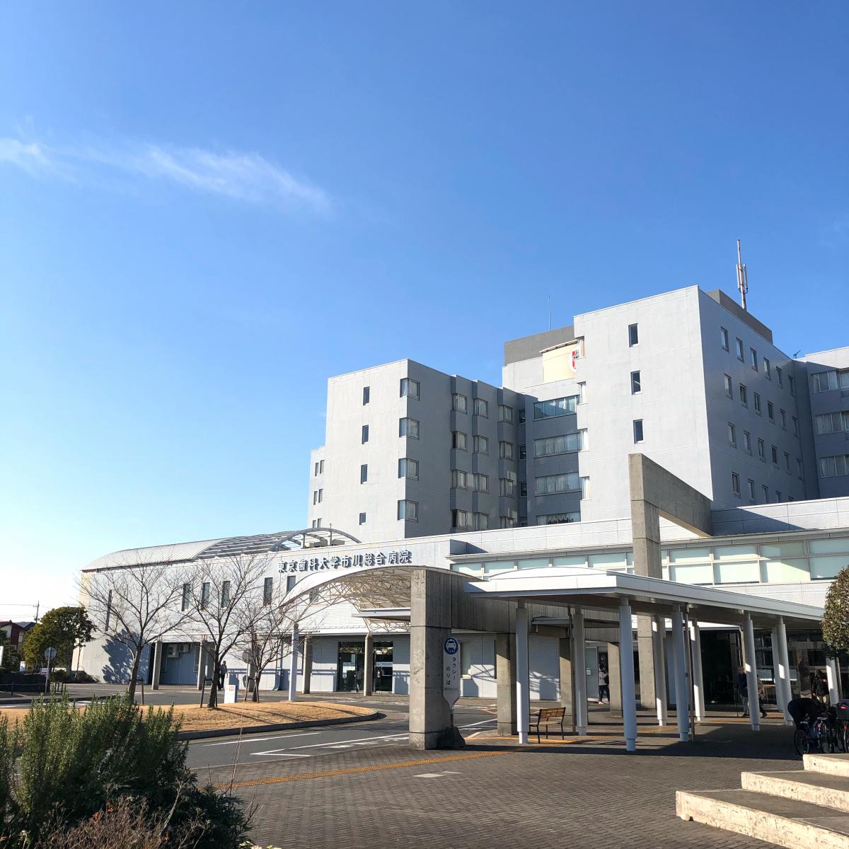 東京歯科大学市川総合病院:投稿ユーザー写真集/ホームメイト 東京歯科大学市川総合病院:投稿ユーザー写真集/ホームメイト