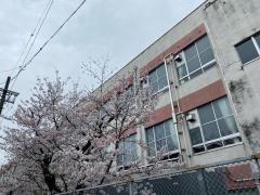 南山大学附属小学校／ホームメイト