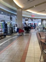 ビッグカンパニー ナノキャリア 柏市 の周辺施設写真一覧 1ページ