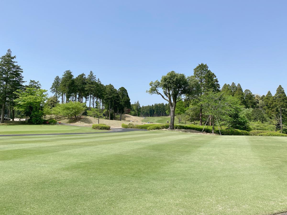 山田ゴルフ倶楽部／ホームメイト