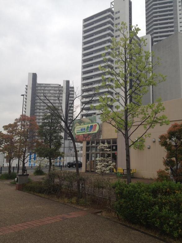 マーケットピア プラザ栄光生鮮館コットンハーバー店 横浜市神奈川区星野町