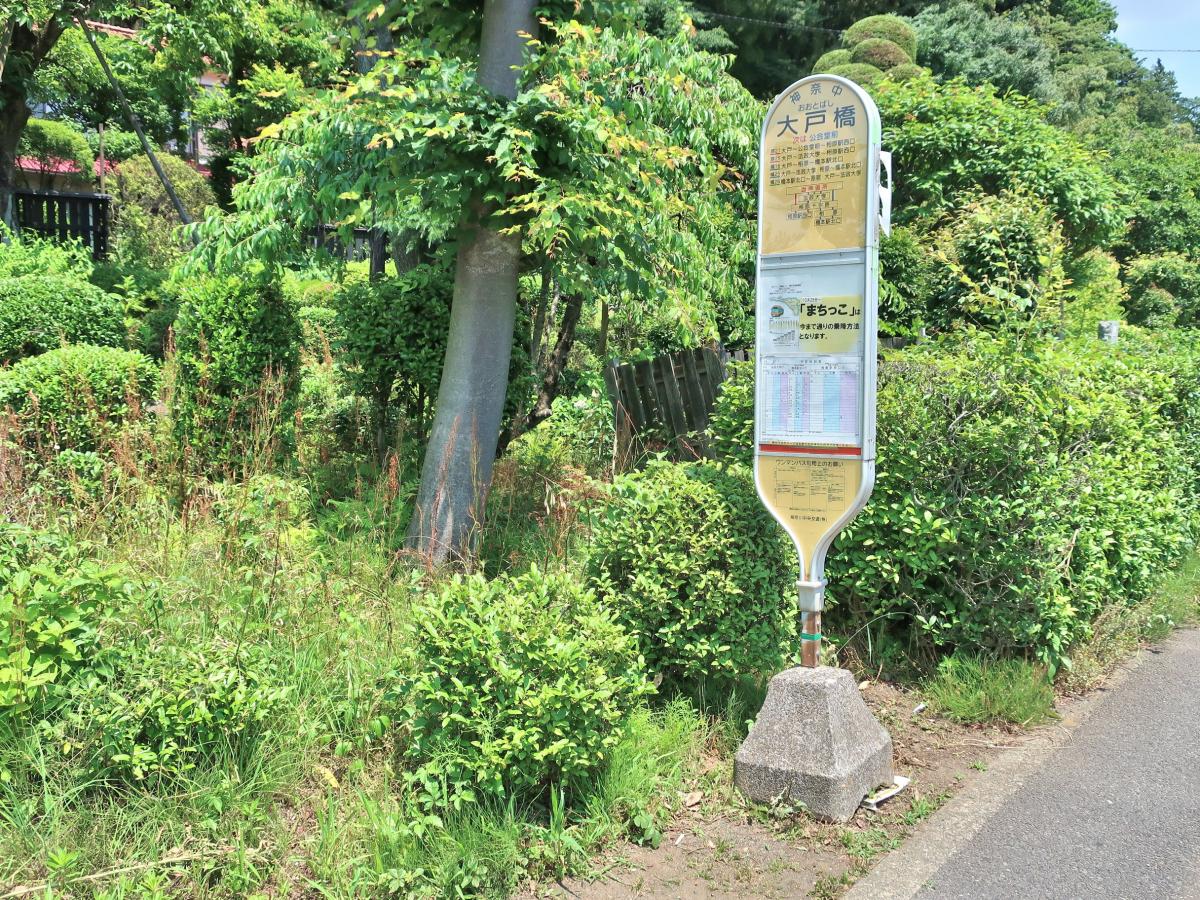 スタディピア 相原幼稚園 町田市 周辺施設 口コミ 写真 動画