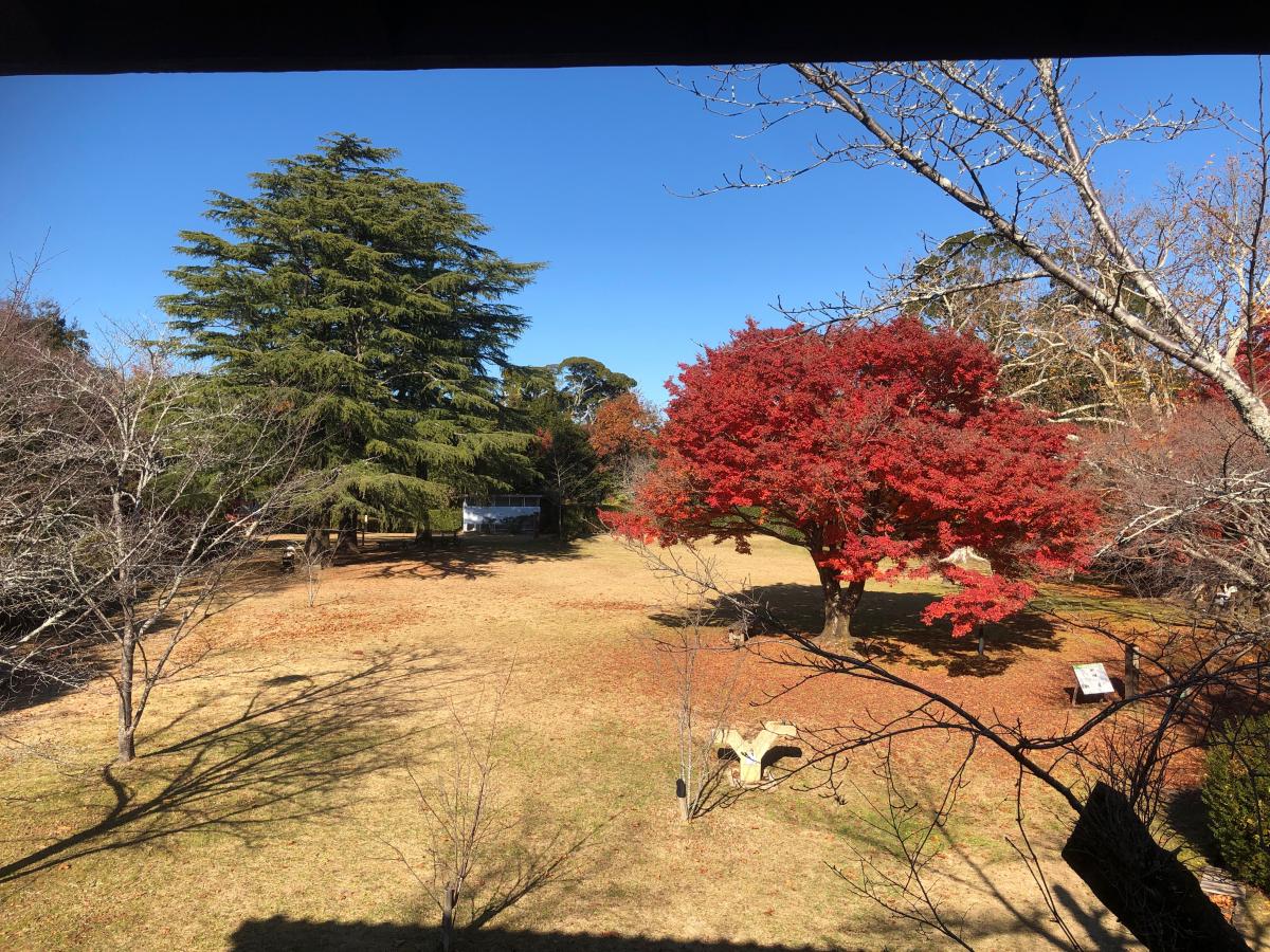 刀剣ワールド 城 鳥羽山公園 鳥羽山城址