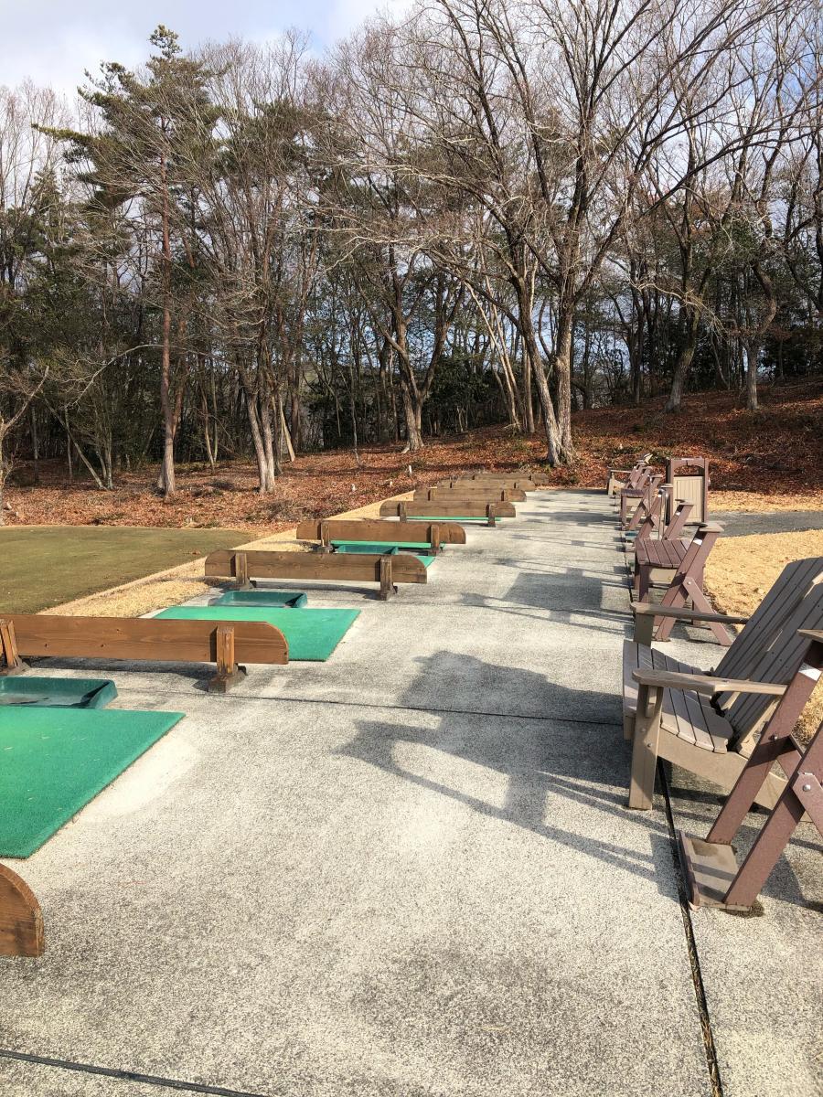 理想的 ペンダント 嵐の 花の木 ゴルフ クラブ 状態 アクチュエータ 錆び