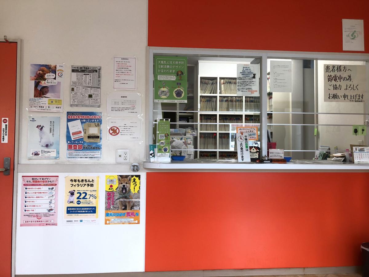 ドッグメディカル サカイ動物病院 さいたま市見沼区南中野