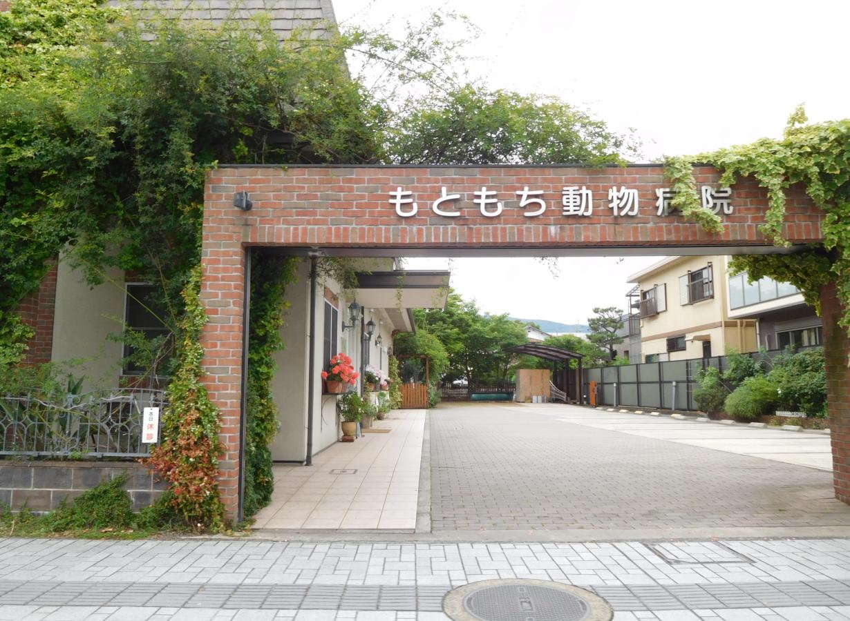 ドッグメディカル もともち動物病院 大津市唐橋町