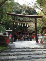 旅探 たびたん 野宮神社