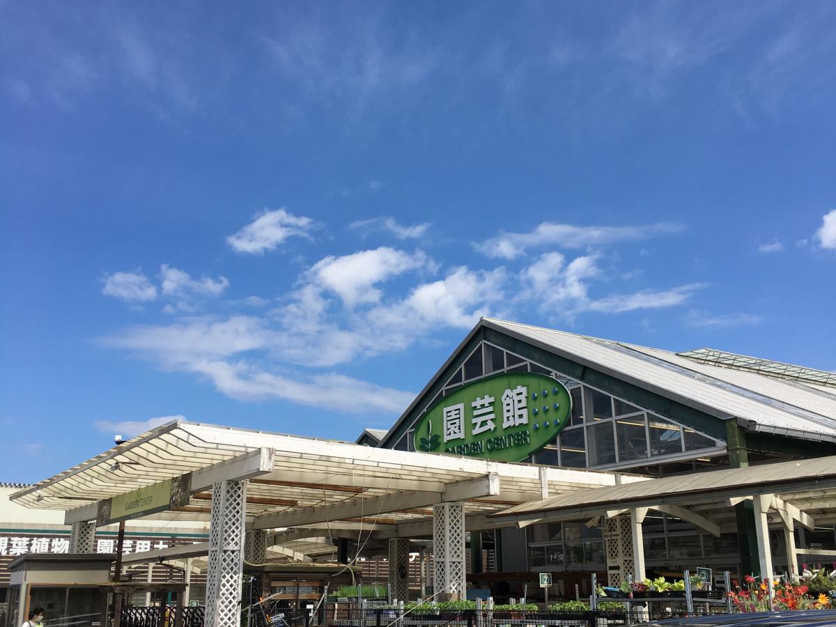 マーケットピア カインズ 東金店 東金市田間