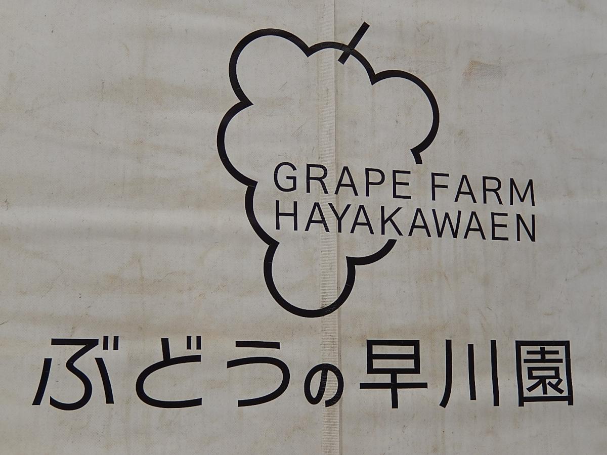旅探 たびたん ぶどうの早川園 甲府市善光寺