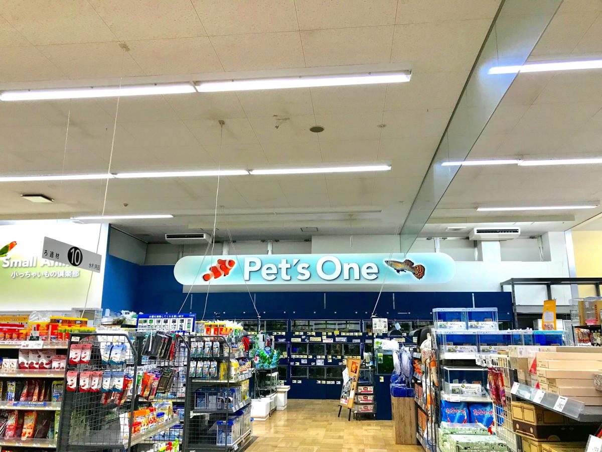 マーケットピア ペッツワン 上田店 上田市秋和