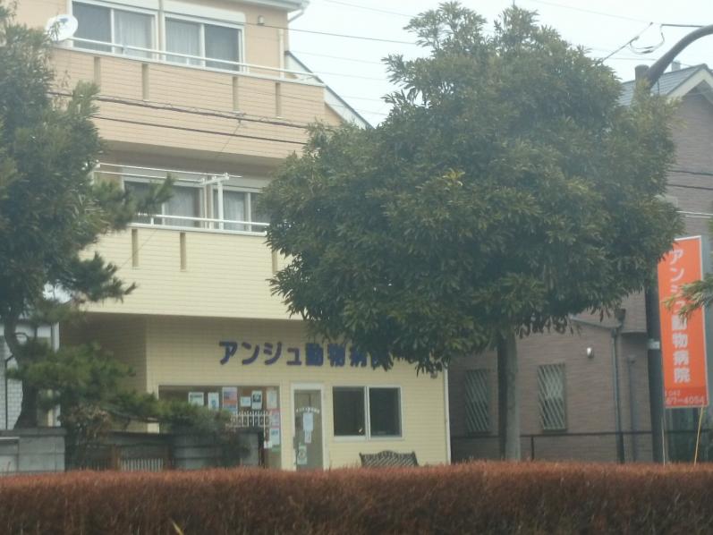 ドッグメディカル アンジュ動物病院 八王子市山田町