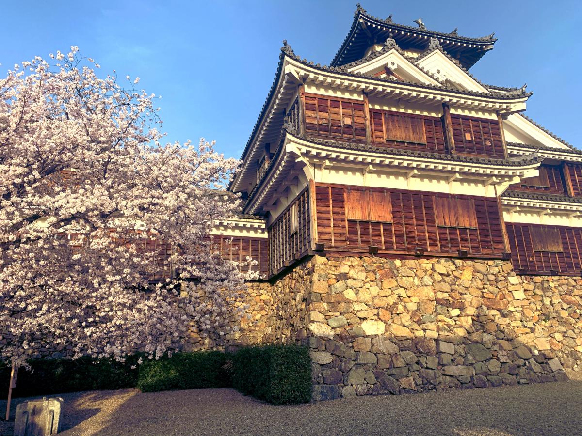 【刀剣ワールド 城】交通アクセス：福知山城跡