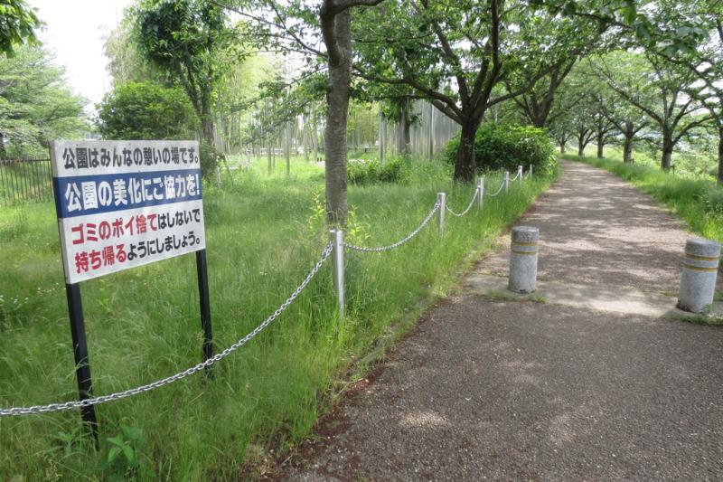 パブリネット ふれあい広場 木津川市 の投稿写真一覧